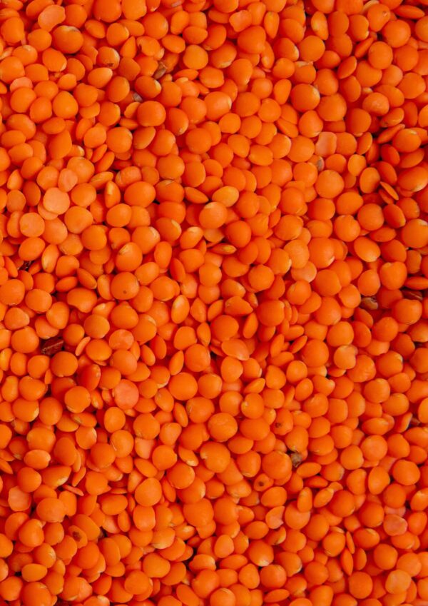 Masoor Dal Red Lentil bwell