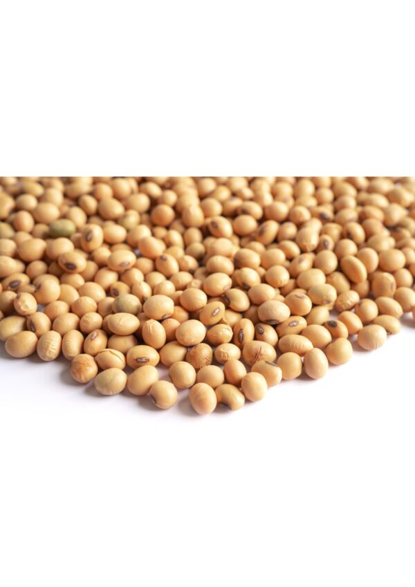 Soya bean bwell