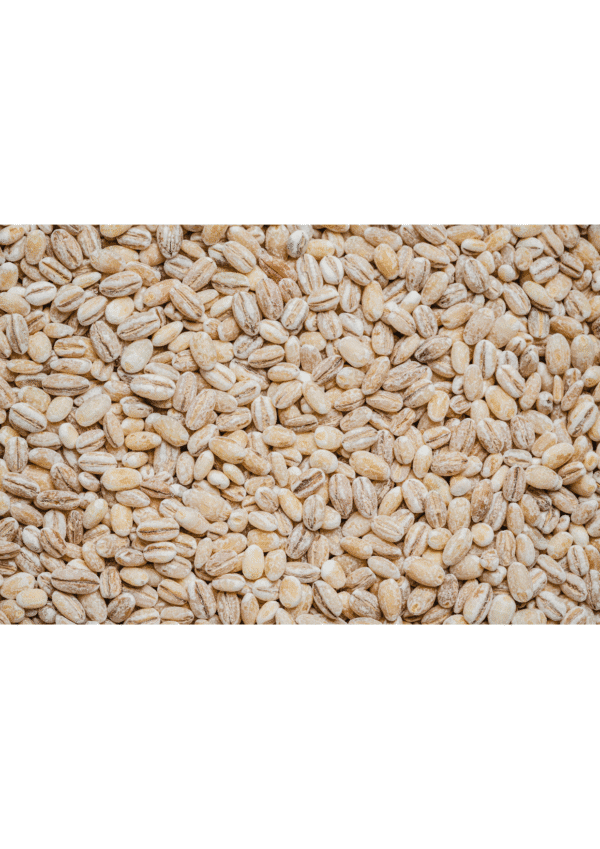 Triticale bwell