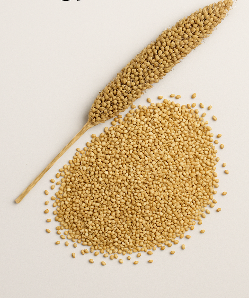 barnyard millet bwell