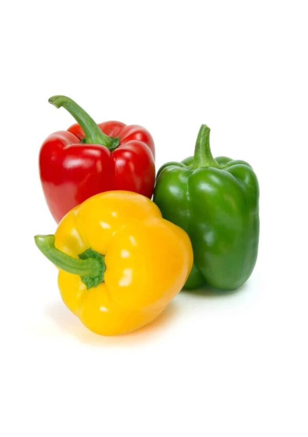 bell pepper product bwell