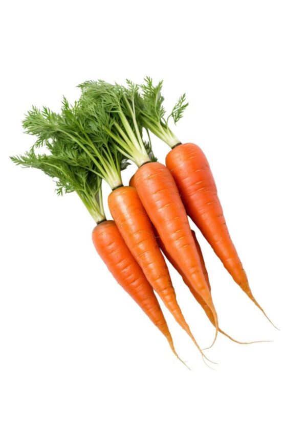 carrot product bwell