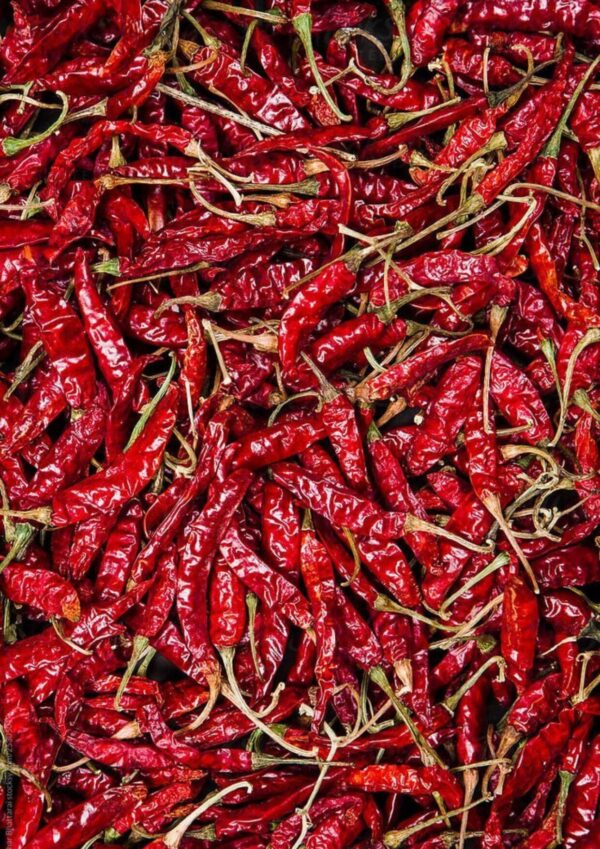 chilli product bwell