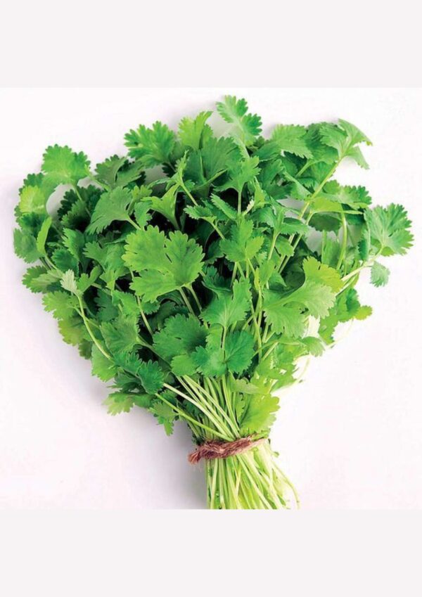coriander product bwell