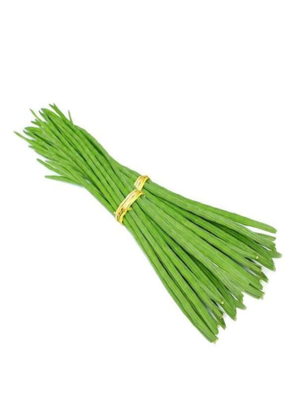 drumstick product bwell