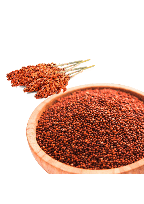 finger millet bwell