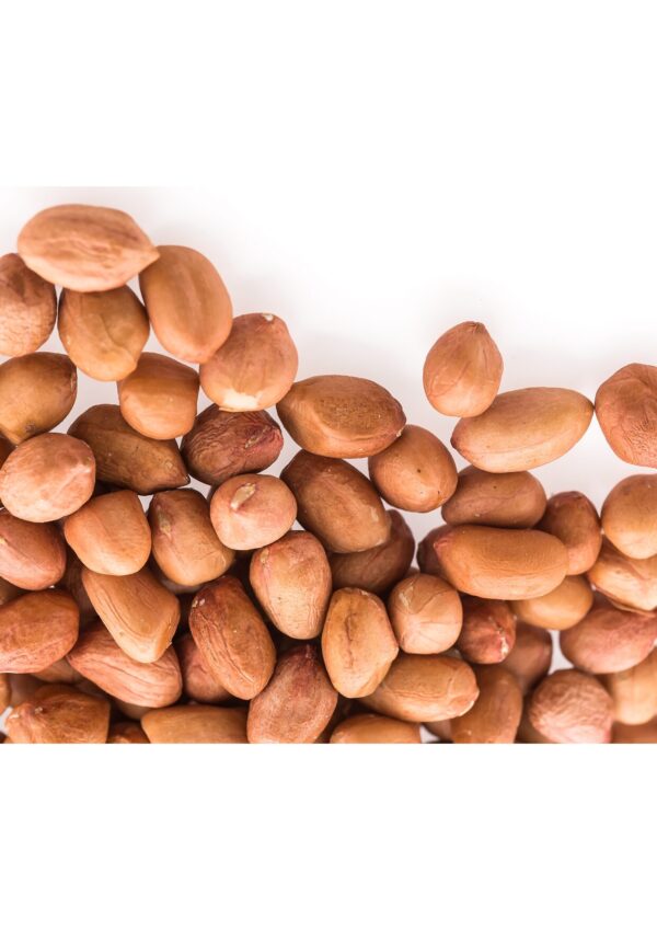 groundnut bwell