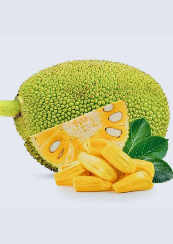 jackfruit product bwell