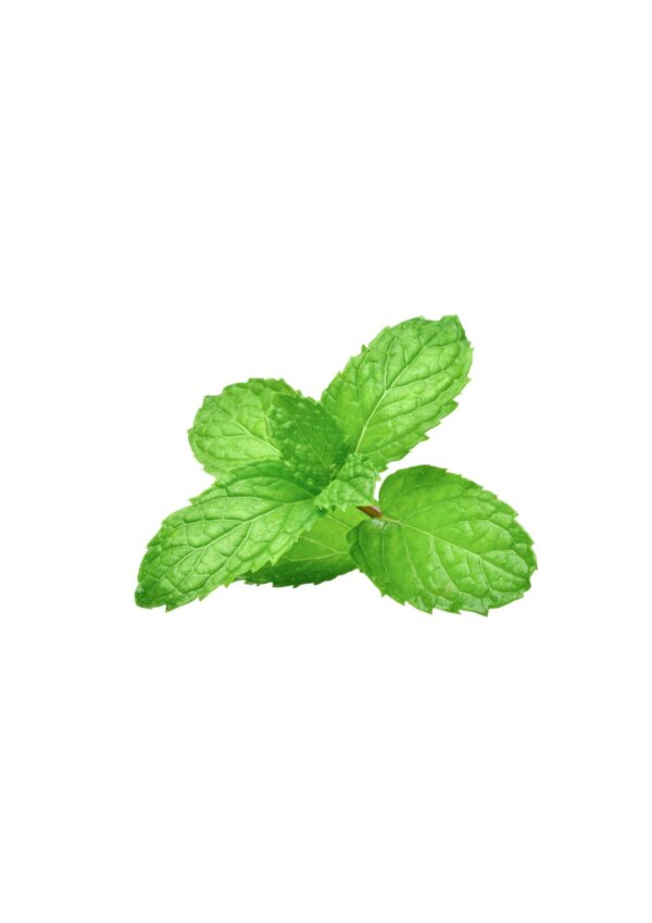 mint bwell