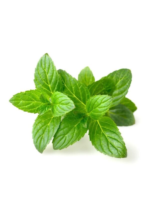 mint product bwell