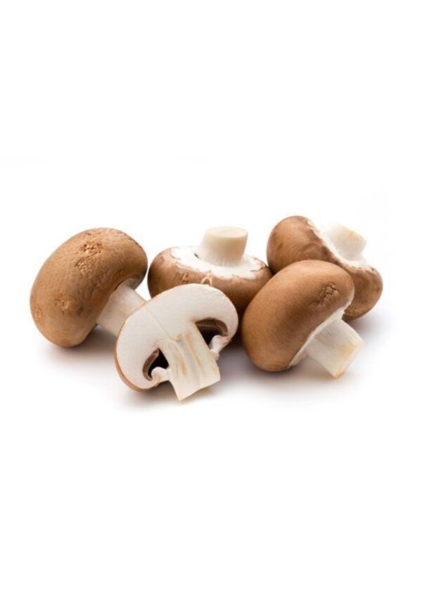 mushroom product bwell