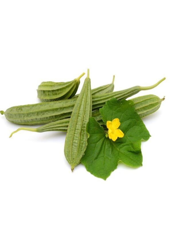 ridge gourd product bwell